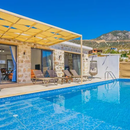 Karanfil Kaş